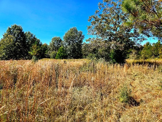 0 J L J L Robbins Road Carson, MS 39427 - Photo 22 of 33 Photo 22