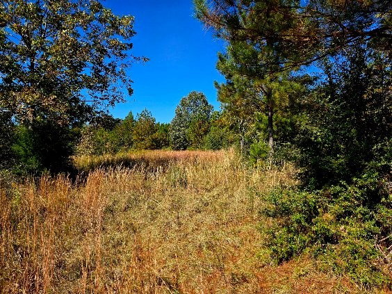 0 J L J L Robbins Road Carson, MS 39427 - Photo 23 of 33 Photo 23