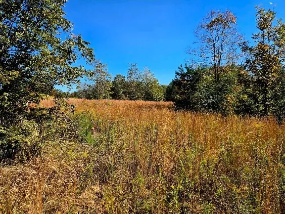 $238,000 | 0 J L J L Robbins Road, Carson, MS 39427