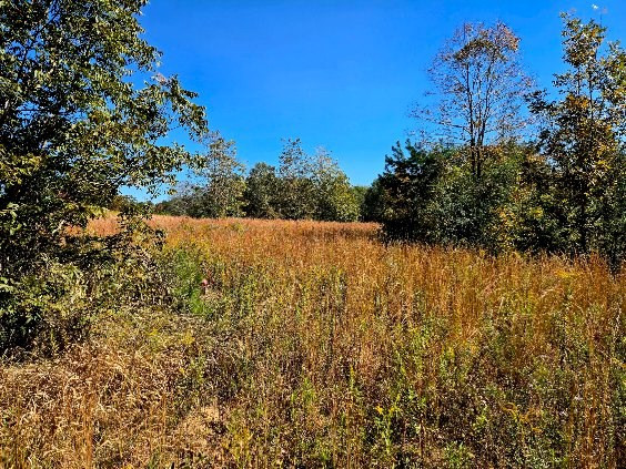 0 J L J L Robbins Road Carson, MS 39427 - Photo 24 of 33 Photo 24