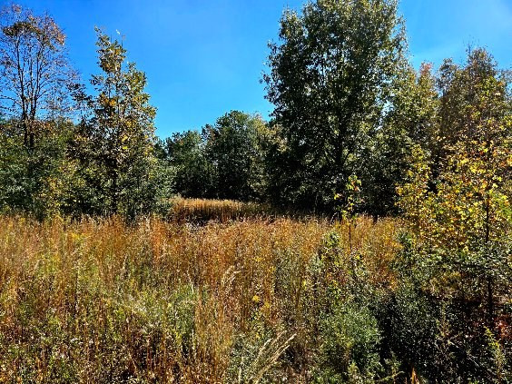 0 J L J L Robbins Road Carson, MS 39427 - Photo 25 of 33 Photo 25