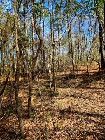 $238,000 | 0 J L J L Robbins Road, Carson, MS 39427