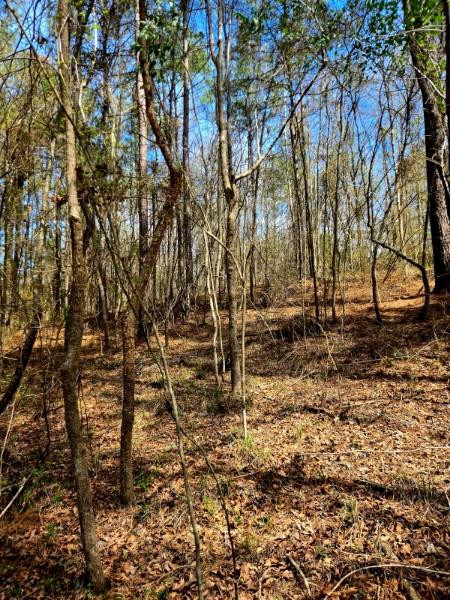 0 J L J L Robbins Road Carson, MS 39427 - Photo 26 of 33 Photo 26