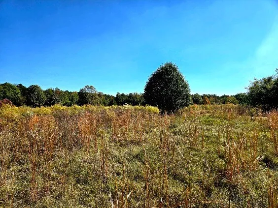 $238,000 | 0 J L J L Robbins Road, Carson, MS 39427