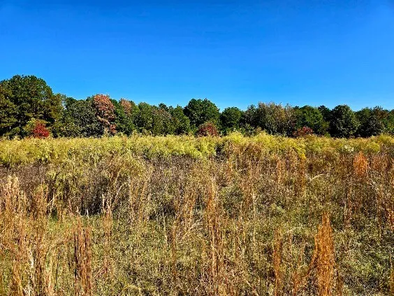 $238,000 | 0 J L J L Robbins Road, Carson, MS 39427