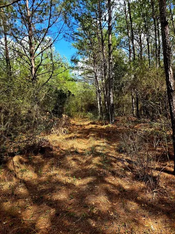 $238,000 | 0 J L J L Robbins Road, Carson, MS 39427