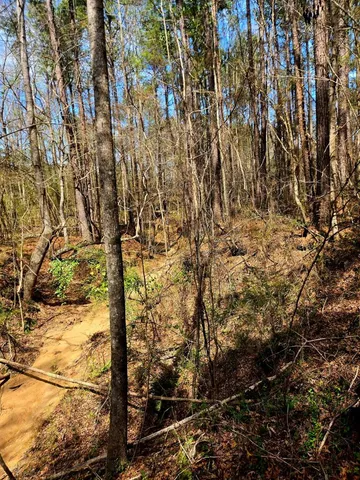 $238,000 | 0 J L J L Robbins Road, Carson, MS 39427