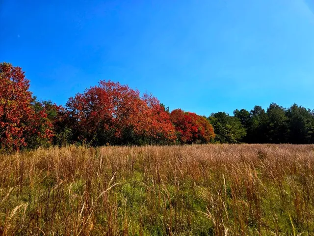 $238,000 | 0 J L J L Robbins Road, Carson, MS 39427