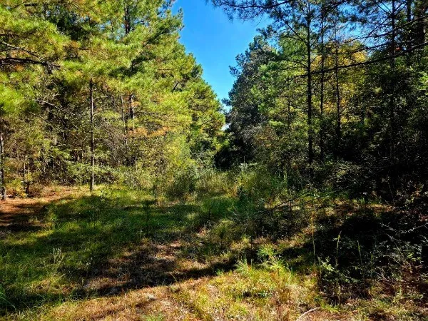 $238,000 | 0 J L J L Robbins Road, Carson, MS 39427