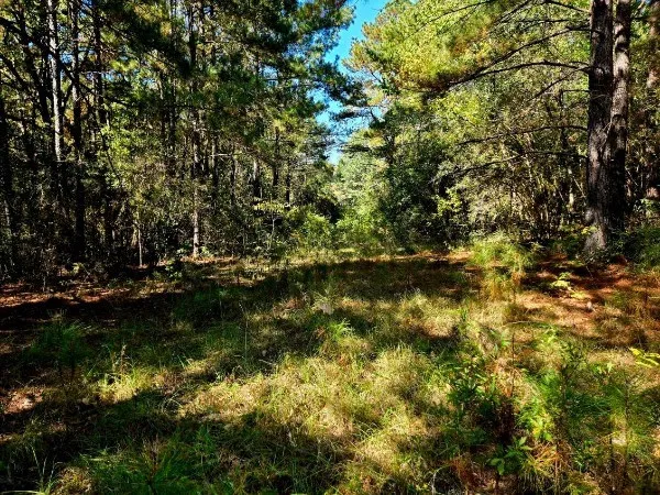 $238,000 | 0 J L J L Robbins Road, Carson, MS 39427