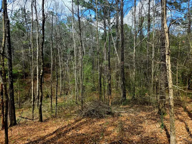 $238,000 | 0 J L J L Robbins Road, Carson, MS 39427