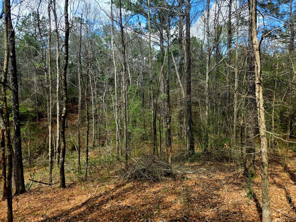 0 J L J L Robbins Road Carson, MS 39427 - Photo 9 of 33 Photo 9