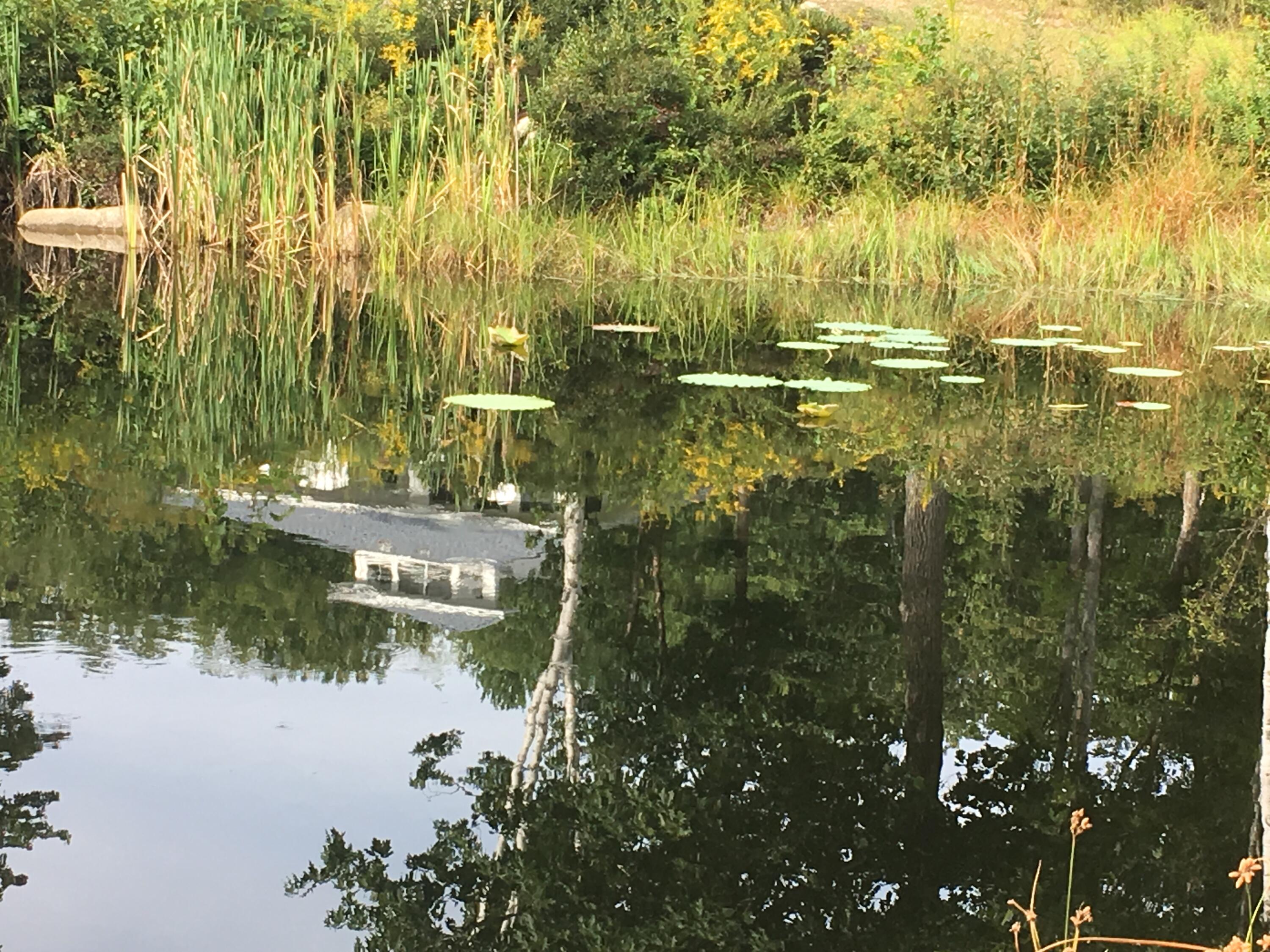 18 Fallen Oak Drive Alfred, ME 04002 - Photo 116 of 133 2018-09-09_15-40-46_949