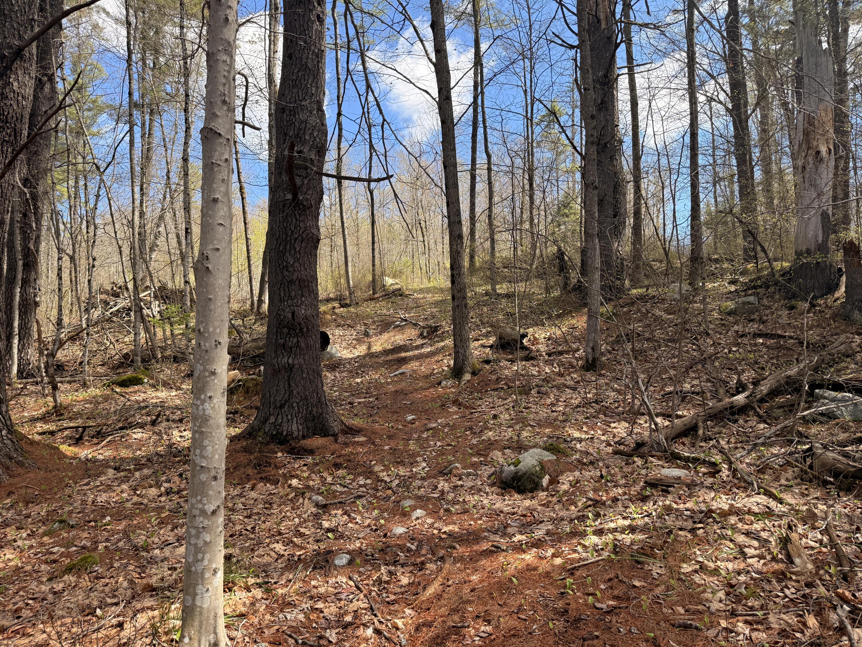 134 D Thurston Road Augusta, ME 04330 - Photo 18 of 20