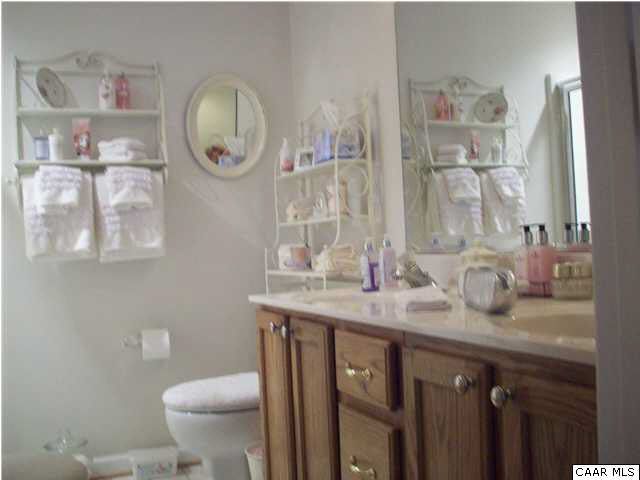 91 Riverside Drive Palmyra, VA 22963 - Photo 16 of 31 a bathroom with a granite countertop sink a toilet and a mirror