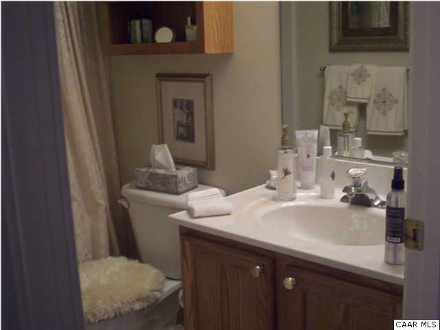 91 Riverside Drive Palmyra, VA 22963 - Photo 18 of 31 a bathroom with a sink toilet and mirror
