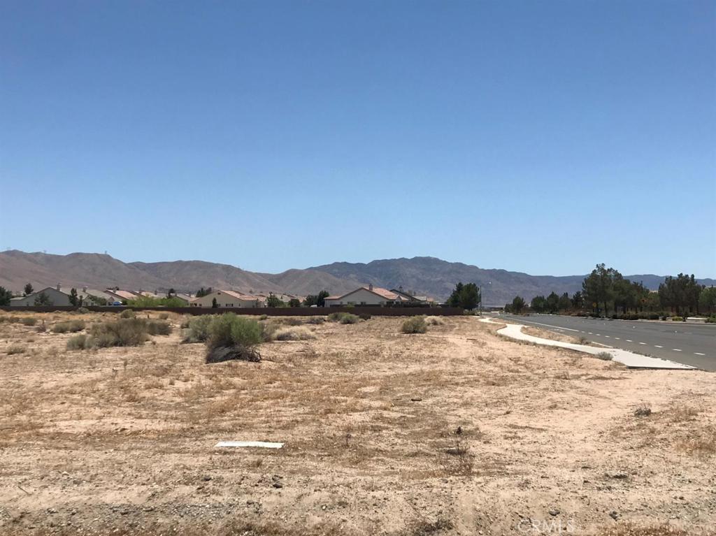 0 Tussing Ranch Road Apple Valley, CA 92308 - Photo 3 of 8