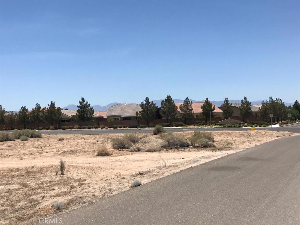 0 Tussing Ranch Road Apple Valley, CA 92308 - Photo 4 of 8