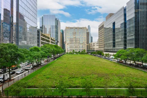 680 North Lake Shore Drive, Unit 322, Chicago, IL 60611