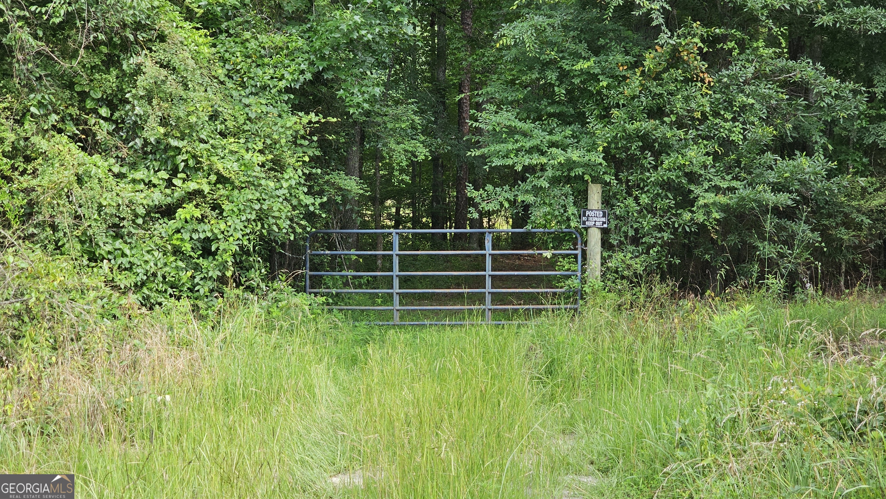 1073 Blount Road Jackson, GA 30233 - Photo 32 of 34