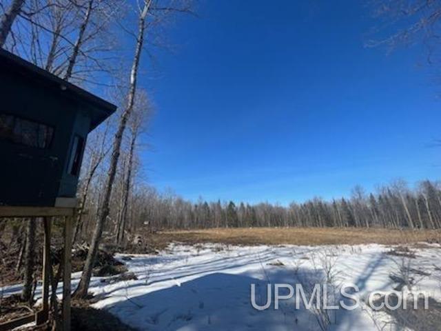 Tbd Buntrock Road Iron River, MI 49935 - Photo 3 of 11