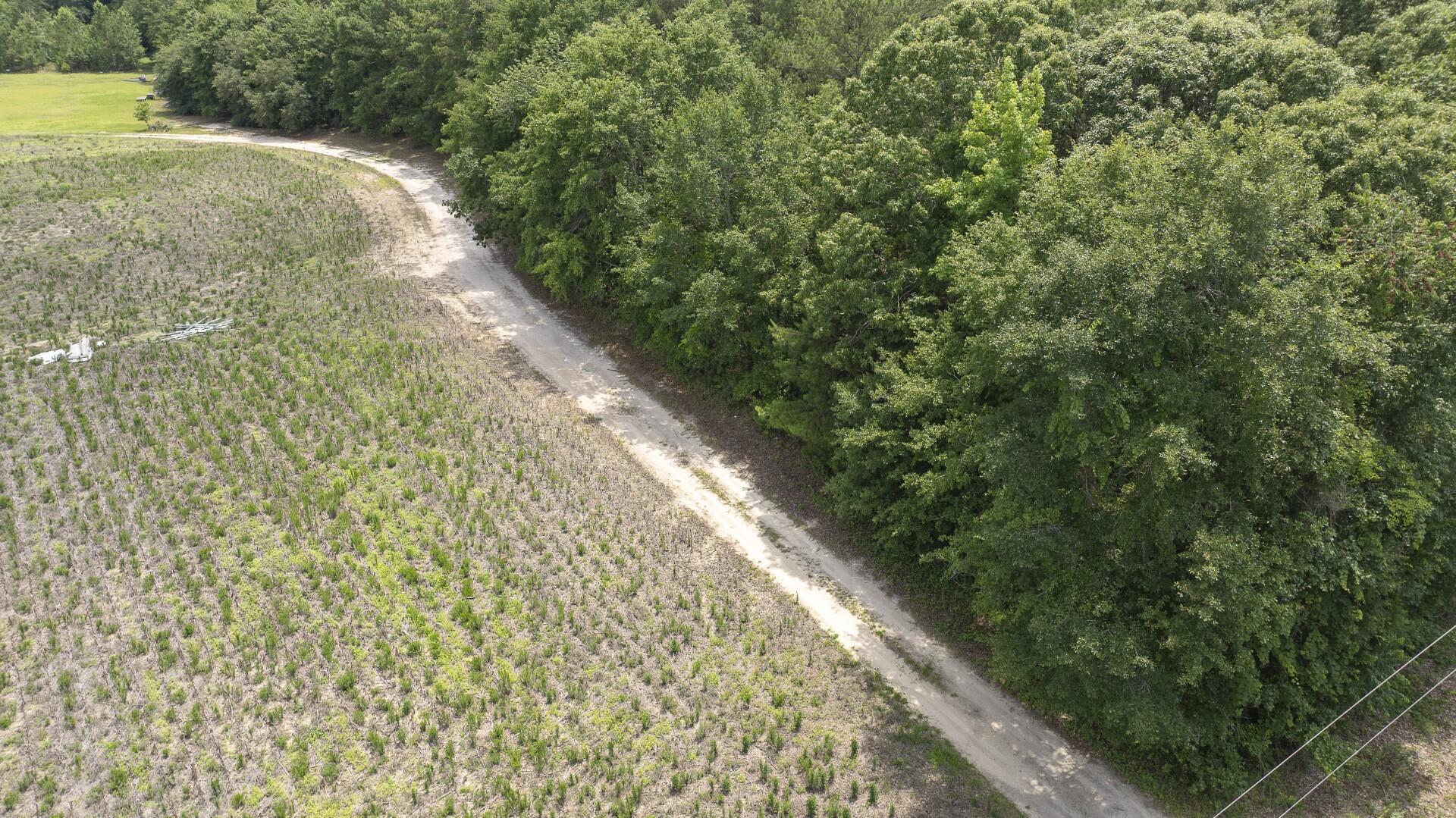 2 Joseph Lemon And Dingle Road Manning, SC 29102 - Photo 43 of 44