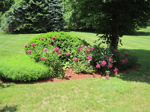 33 Berkeley Road Framingham, MA 01701 - Photo 19 of 25 Gallery Image 19
