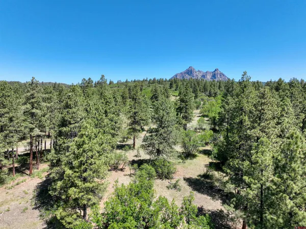 a view of a building