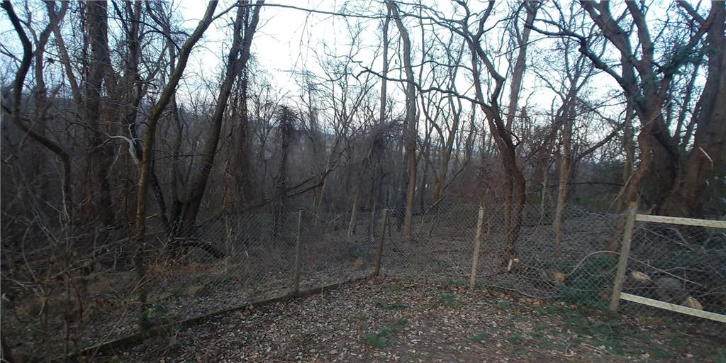 427 Jefferson Road Pittsburgh, PA 15235 - Photo 25 of 25 Additional wooded lot behind main yard