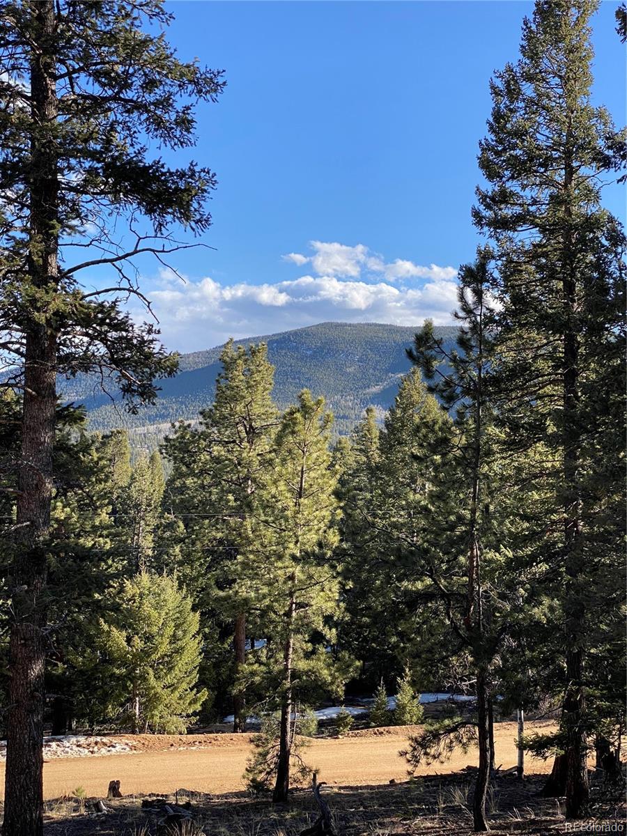 451 Old Sawmill Road Bailey, CO 80421 - Photo 8 of 26 Gallery Image 8