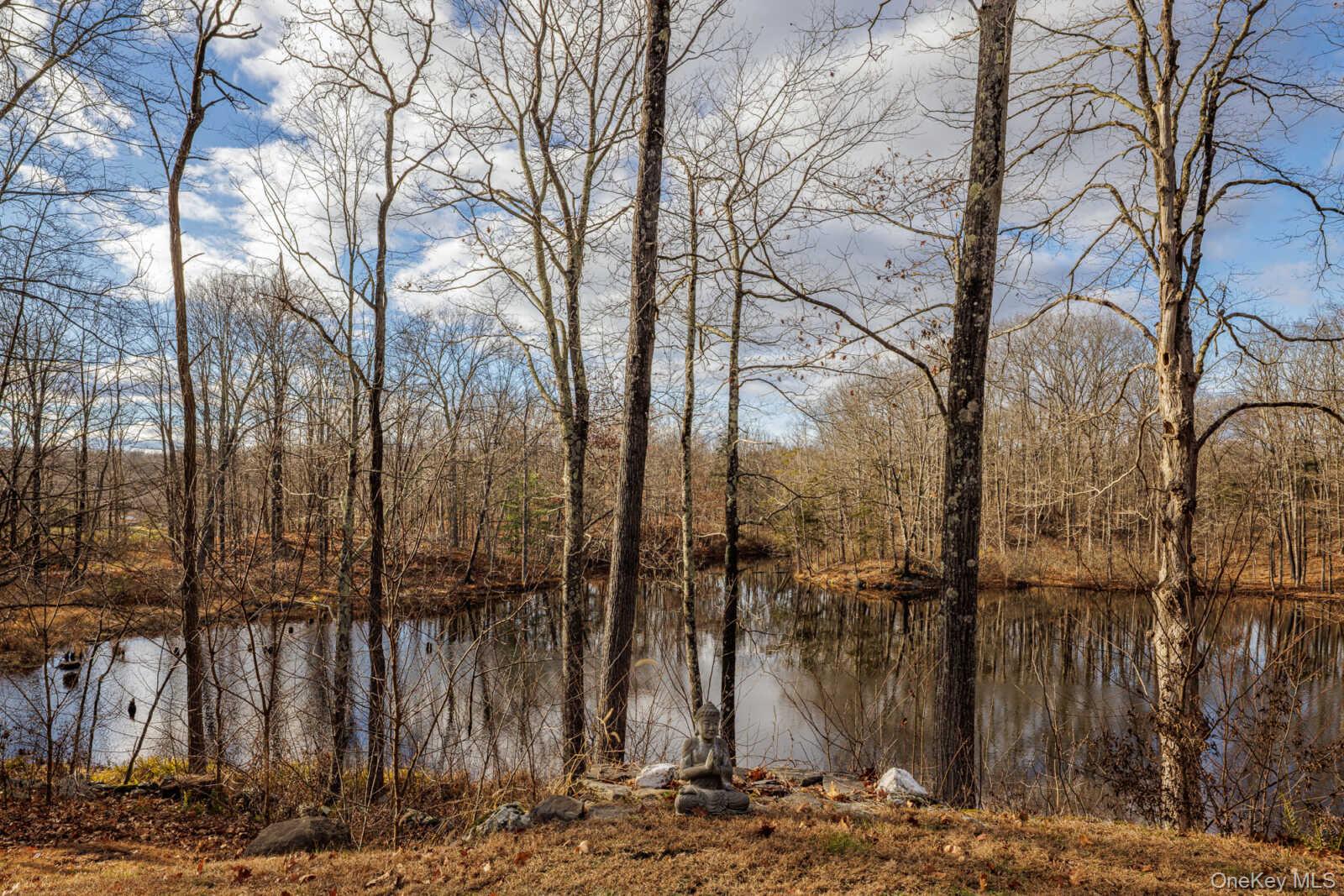 407 White Schoolhouse Road Rhinebeck, NY 12572 - Photo 15 of 17 a view of a yard covered with snow