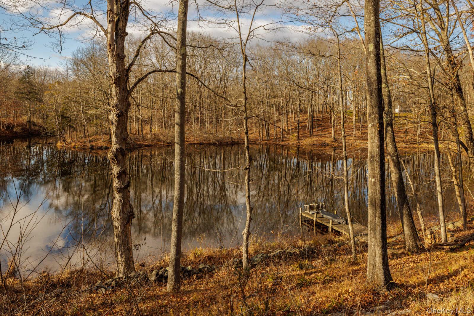 407 White Schoolhouse Road Rhinebeck, NY 12572 - Photo 16 of 17 a view of a yard