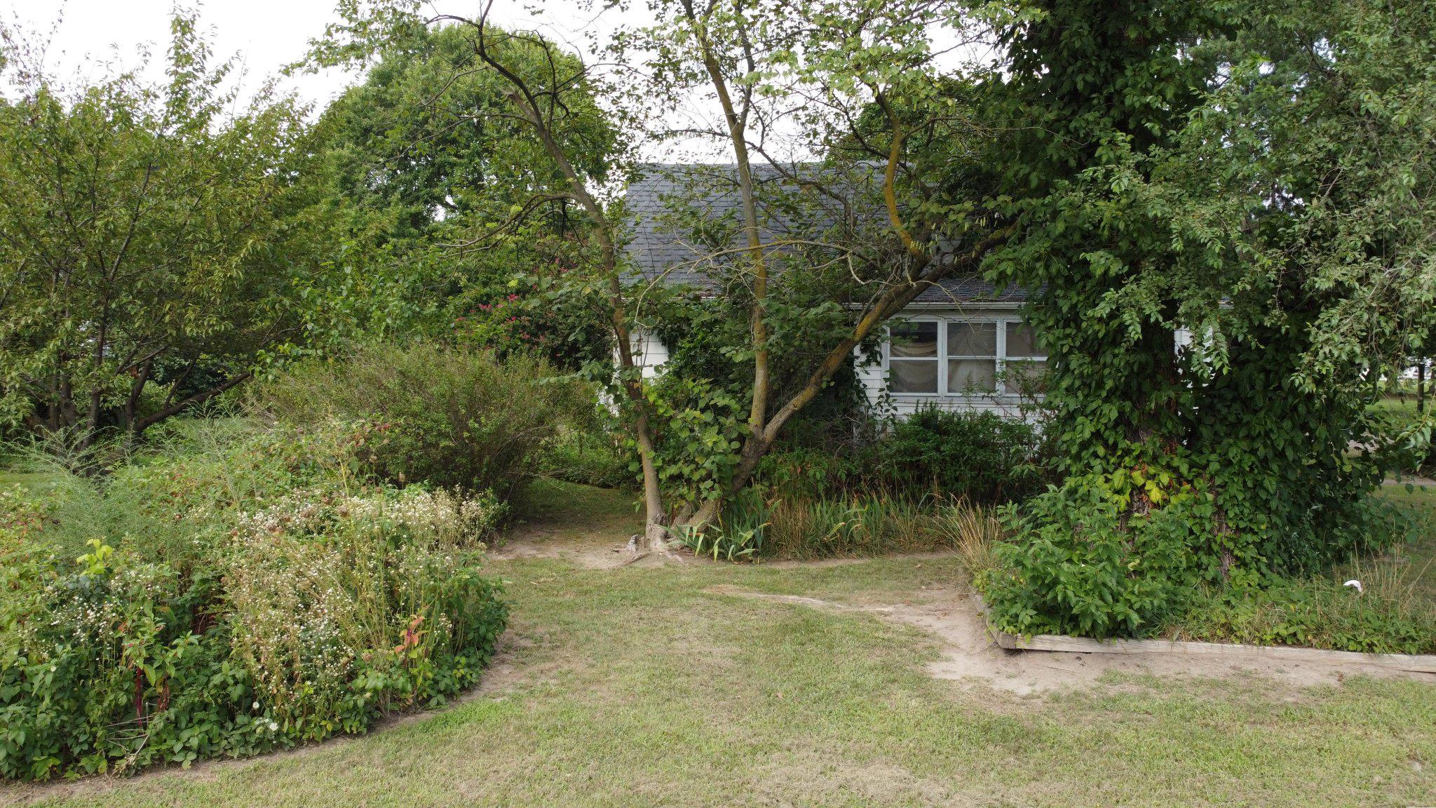 1128 Pearsons Corner Road Hartly, DE 19953 - Photo 9 of 63 Charming home nestled in lush greenery.
