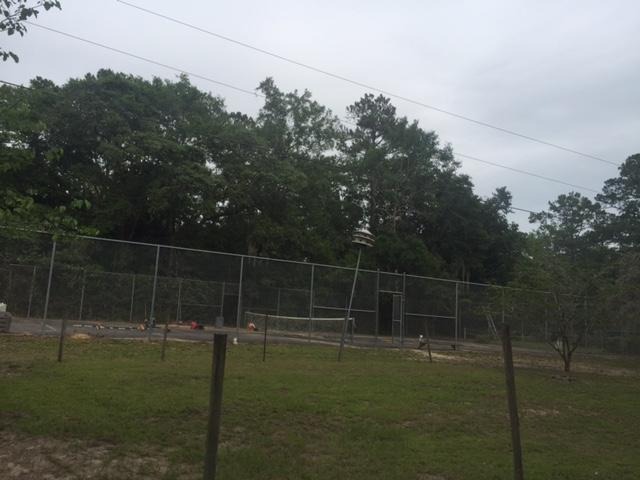 692 Piney Point Road Freeport, FL 32439 - Photo 16 of 17 a backyard of a house
