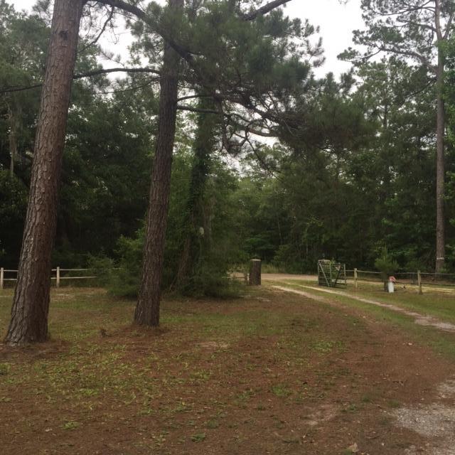 692 Piney Point Road Freeport, FL 32439 - Photo 17 of 17 a view of outdoor space with trees
