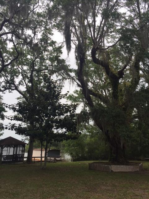 692 Piney Point Road Freeport, FL 32439 - Photo 3 of 17 a view of lake view