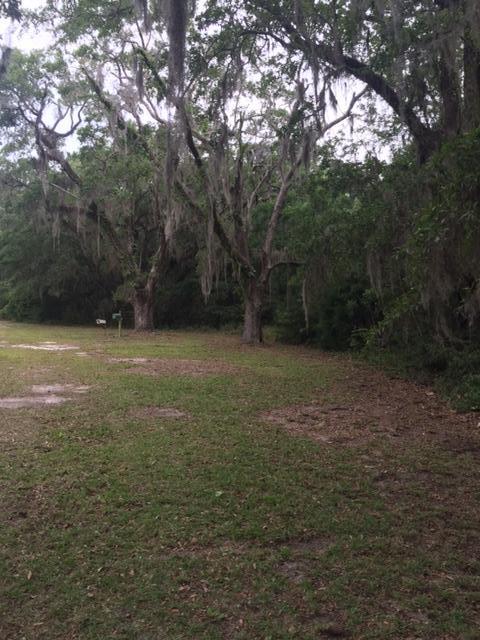 692 Piney Point Road Freeport, FL 32439 - Photo 8 of 17 a view of a field with trees in the background
