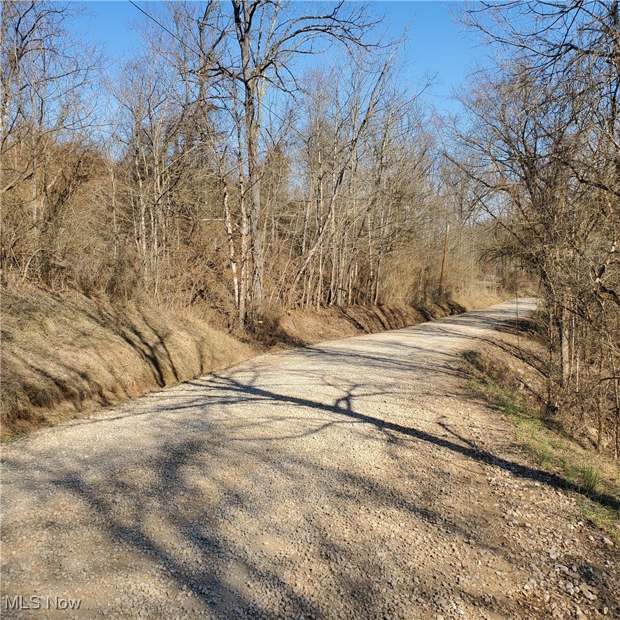 2229 Reeds Run Road Whipple, OH 45788 - Photo 7 of 28 View of road