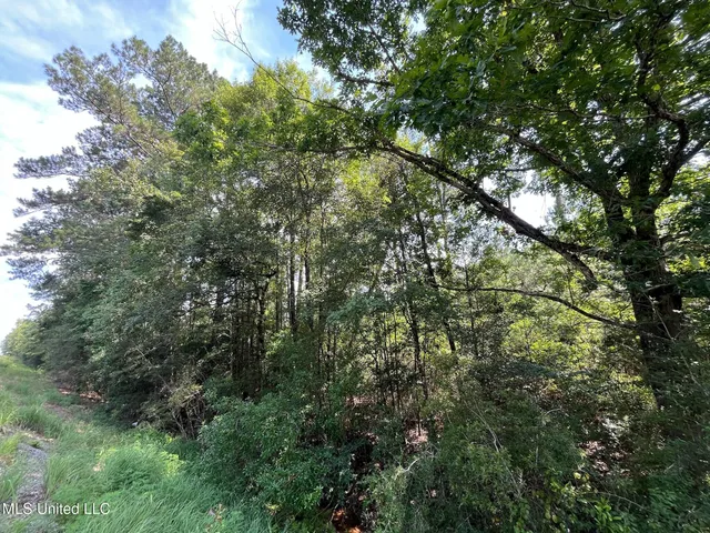 $117,500 | 63 N Highway, Leakesville, MS 39451