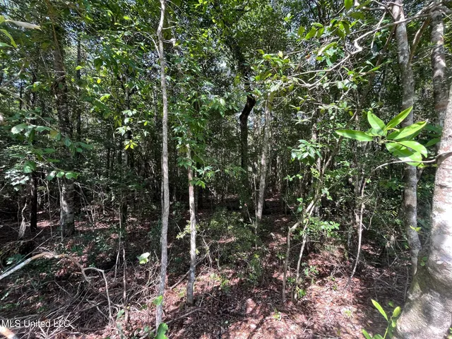 $117,500 | 63 N Highway, Leakesville, MS 39451