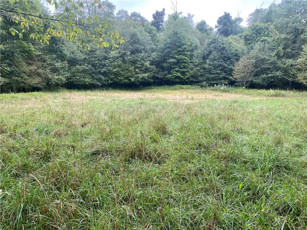 0 Leonard Road Hilliards, PA 16040 - Photo 1 of 23 Gallery Image 1