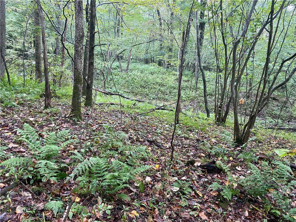 0 Leonard Road Hilliards, PA 16040 - Photo 13 of 23 Gallery Image 13