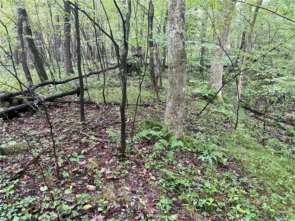 0 Leonard Road Hilliards, PA 16040 - Photo 16 of 23 Gallery Image 16