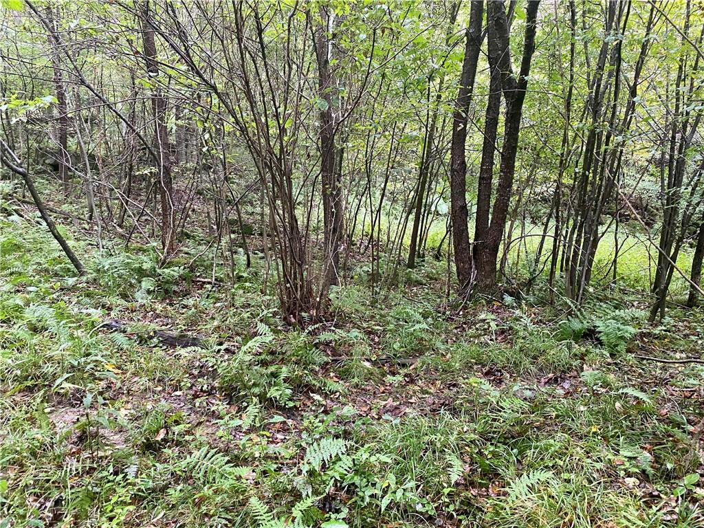 0 Leonard Road Hilliards, PA 16040 - Photo 8 of 23 Gallery Image 8