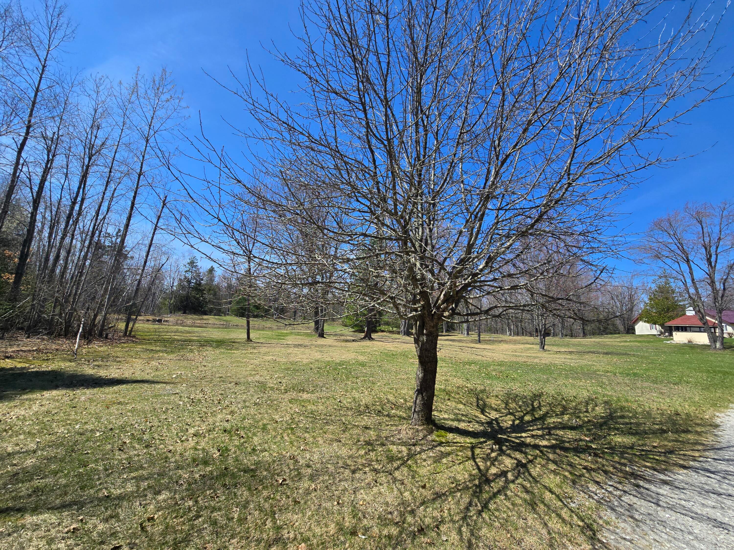 3625 Weaver Road Comins, MI 48619 - Photo 107 of 112 20260423_135551