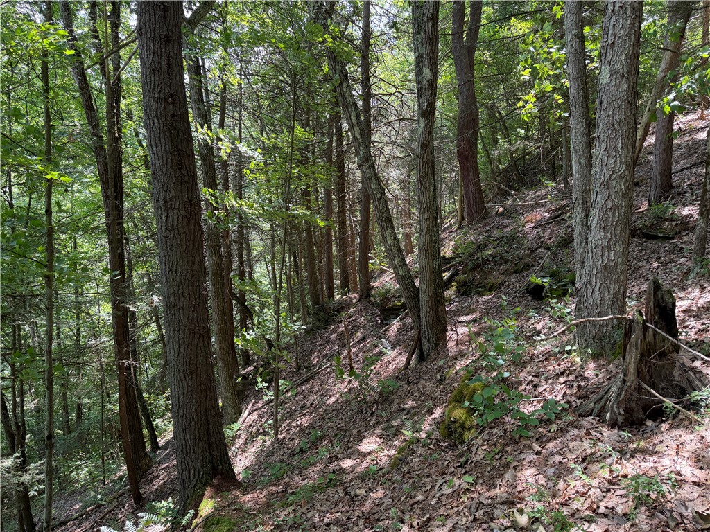 Vl Catatunk Road, Unit R Canisteo, NY 14823 - Photo 41 of 50