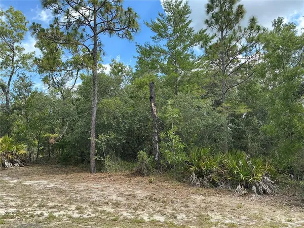 $56,000 | Persimmon Avenue, Weeki Wachee, FL 34614