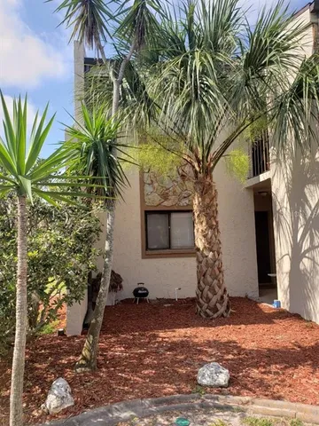 a view of a backyard