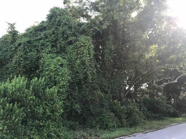 $285,000 | Madrid St Street, St. Augustine, FL 32080