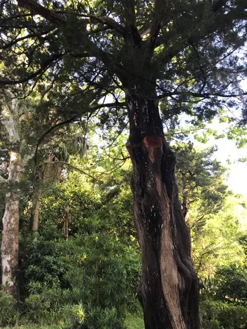 $285,000 | Madrid St Street, St. Augustine, FL 32080